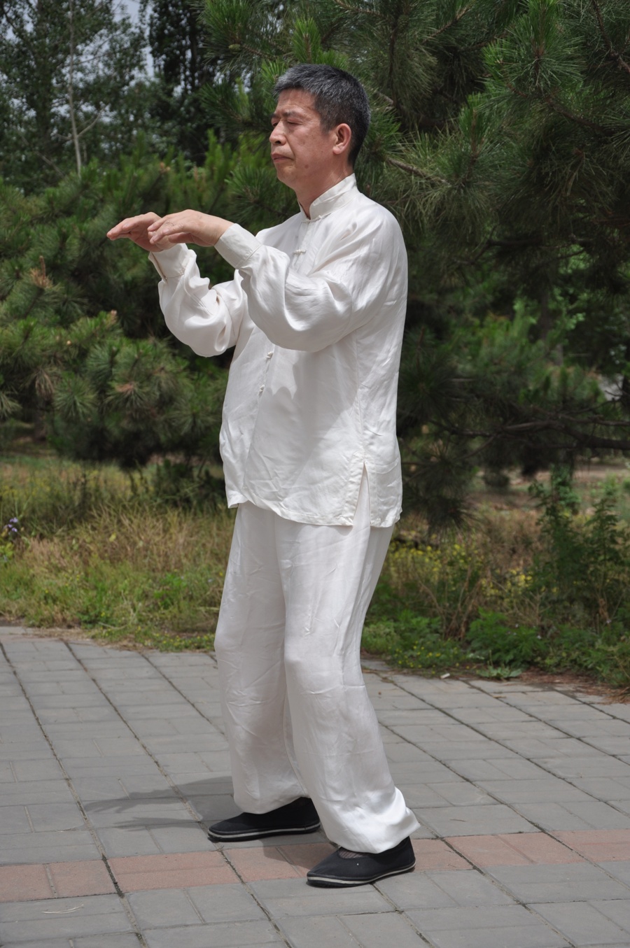太极推掌功 1