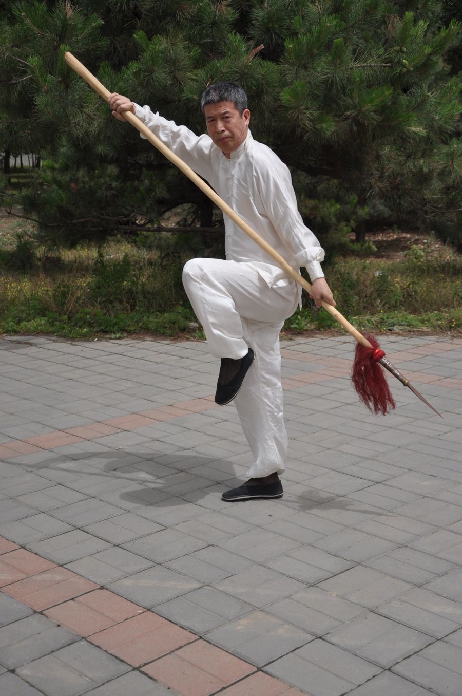 杨家枪