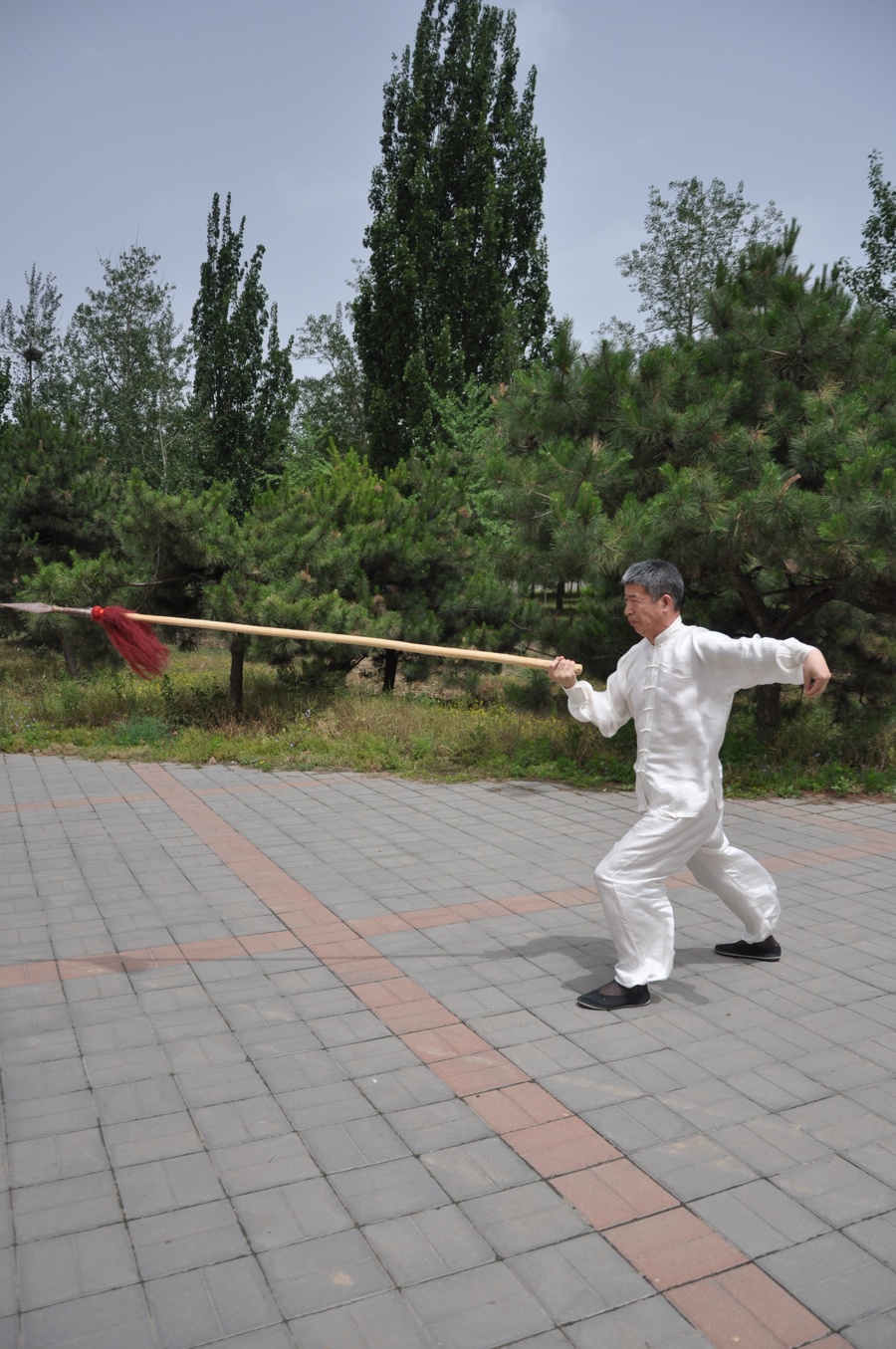 杨家枪
